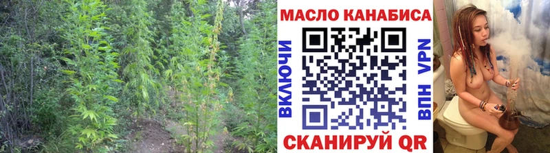 MEGA ссылки  Новохопёрск  ТГК жижа  купить наркотик 